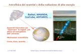 Baikal, AMANDA, IceCube, ANTARES,people.na.infn.it/~barbarin/MaterialeDidattico/0+approfondimenti cor… · Astrofisica dei neutrini e della radiazione di alta energia A. A: 2013-2014