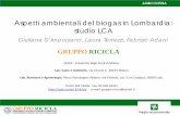 Aspetti ambientali del biogas in Lombardia: studio LCA...DiSAA - Università degli Studi di Milano Lab. Suolo e Ambiente, via Celoria 2, 20133 Milano Lab. Biomasse e Agroenergia, Parco