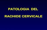 PATOLOGIA DEL RACHIDE CERVICALE - AIFI Liguria · patologia del rachide cervicale. patologia degenerativa. patologia displasica e infiammatoria. patologia midollare . ierac dob: 09
