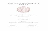 UNIVERSITÀ DEGLI STUDI DI PADOVAtesi.cab.unipd.it/33189/1/Tesina.pdf · Corso di Laurea Triennale in Ingegneria dell'Informazione A.A. 2010 - 2011 Tesina ... L' appendice contiene