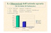 Le Dimensioni dell’azienda agraria · dimensione delle imprese agricole può essere individuata nella ... -rappresentano il 5,3% delle aziende italiane -coltivano il 53,8% della
