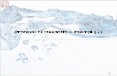 Processi di trasporto Esempi (2) · 2013. 6. 7. · 1. la descrizione del flusso e dei processi di mescolamento in superficie, che sono resposanbili del trasporto dei contaminanti
