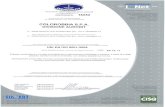  · certificato n. 16252 certifica te no sl certifica che l'organizzazione we hereby certify that the organiza tion colorobbia sip-a. divisione aurobit 50056 montelupo fiore-ntino