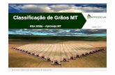 Classificação de Grãos MT - Governo do BrasilA média de umidade na colheita em MT é de 16% a 18%, casos de 20% dependendo do clima e com aumento dos avariados; Classificação
