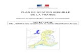 PLAN DE GESTION ANGUILLE DE LA FRANCEprofessionnels.ofb.fr/sites/default/files... · plan anguille volet rhone-mediterranee- 5 fév 2010 3 1. Description des habitats de l’anguille