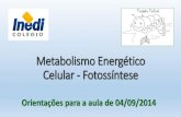 Metabolismo Energético Celular - Fotossíntese€¦ · Metabolismo Energético Celular - Fotossíntese Orientações para a aula de 04/09/2014. ... Preste bastante atençäo nas