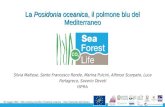 La Posidonia oceanica, il polmone blu del Mediterraneo...La Posidonia oceanica, il polmone blu del Mediterraneo 05 maggio 2020 – Web meeting scientifico Posidonia oceanica – Parco