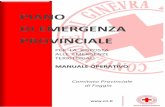 Piano di Emergenza Provinciale - C.R.I. - Croce Rossa Determina O.C. n¢° 190/09 del 17 giugno 2009;