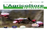 aprile 2020 | n · 2020. 4. 30. · in questo numero aprile 2020 2 Periodico di informazione a cura di Confagricoltura del Trentino, Associazione Contadini Trentini, Aflovit, Agriservice,