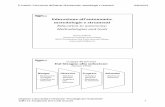 Educazione all’autonomia: metodologie e strumentiportale.siva.it/files/doc/library/corso_ta_andrich_07_printout2slides.pdf · The EUSTAT Manual for Users (II) Il Manuale EUSTAT