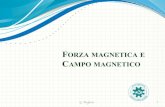 FORZA MAGNETICA E CAMPO MAGNETICOpugliese/index_file/aa_2016_campoB.pdfIntroduzione al campo Magnetico L’ ago magnetizzato, libero di ruotare si dispone assumendo una posizione di