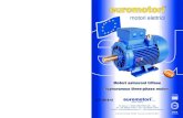 n. 1L 401/B-03 euromotori UNI EN ISO 2 euromotori¢® 1L 401/B-03 DATI ELETTRICI - MOTORI TRIFASE RATED