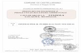 Dott. Geol. Thomas Gemelli - Castellarano · 2018. 12. 5. · Studio di Impatto Ambientale Cava “Stadola” – Comune di Castellarano (RE) Dott. Geol. Gemelli Thomas – viale