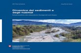Dinamica dei sedimenti e degli habitat - Federal Council€¦ · Die vorliegende Publikation ist eine Fortsetzung der Merkblatt-Sammlung «Wasserbau und Ökologie», die im Jahr 2012