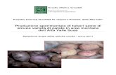 Produzione sperimentale di tuberi seme di alcune varietà ...€¦ · 2.Caratteristiche delle antiche varietà in prova Ratte (Patate del Bur): tuberi di forma allungata più o meno