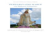 PEREGRINATIO MARIÆparrocchietrecolli.it/wp-content/uploads/Peregrinatio-Mariae-2017.pdf · contempla con gioia il pieno compimento di ciò che desidera e spera di essere; il tipo,
