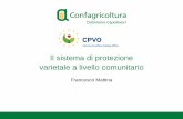 Presentazione standard di PowerPoint - Civi Italia...Il sistema comunitario di protezione varietale • Sistema introdotto con Regolamento 2100/94 del 1994. • Il Sistema comunitario