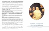 Madre Santa Maria - Virgo Fidelis · 2014. 11. 19. · vo, alla Contessa de Ségur di cui oggi si riconosce, in parte, l’innovatore carattere pedagogico. La fondatrice è madre