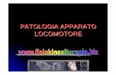 PATOLOGIA APPARATO LOCOMOTORE · 2017. 1. 12. · zRottura dell’uretra. dr.P.Olivi Complicanze cutanee (immediate) zComprese ferite da arma da fuoco ... (immediate) dr.P.Olivi Sindrome
