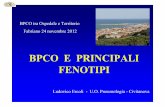 BPCO E PRINCIPALI FENOTIPI - AMCPamcp.it/wp-content/uploads/2015/10/ercoli.pdfDAI GRANDI NUMERI Si stima che il 4.5% della popolazione generale sia affetta da BPCO [6] La prevalenza