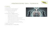1 Proiezioni del Torace - TSRM · PROIEZIONE DI LEVY-DORN PER GLI APICI POLMONARI INDICAZIONI= valutazione opacità localizzate agli apici polmonari se sovrapposte alle prime coste