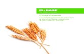 Linea Cereali - BASF...5 AgCelence ®: KHSSHKPMLZHHS¸Ä[ULZZ¹ Grazie ai pluriennali investimenti in Ricerca e Sviluppo BASF fornisce agrofarmaci come Opera New e Comet 250 EC in