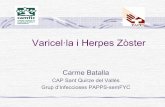 Varicel·la i Herpes Zòster - projectes.camfic.catprojectes.camfic.cat/CAMFiC/Seccions/DocumentsCAMFiC/...Herpes Zòster En situació de circulació del virus i de contacte continuat