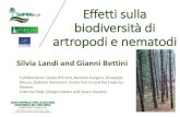 Effetti sulla biodiversità di artropodi e nematodilifeforesmit.com/wp-content/uploads/2019/05/08_Silvia-Landi.pdf · Mesofauna Carabids - belonging to Macrofauna Over 1000 species