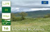 - Monte Rufeno_1.pdffacei della Maremma Laziale alla Pianura Pontina; a questa variabilità geografica corrisponde un grande patrimonio di biodiversità, sia in termini di habitat