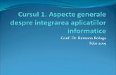 Conf. Dr. Ramona Bologa Febr 2019 - ASEsinf.ase.ro/cursuri/integrare/Cursul 1.pdf · 2019. 3. 7. · Strategii de integrare Exista in principiu patru strategii de integrare: 1. la