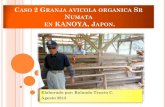 Caso 2 Granja avicola organica Sr Numata en Kagoshima, Japon.drco-mag.yolasite.com/resources/alimento animal organica... · 2018. 8. 22. · CASO 2 GRANJA AVICOLA ORGANICA SR NUMATA