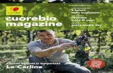 nella tradizione cuorebio oggi in cucina magazine · 2013. 7. 9. · 4 cuorebio magazine cuorebio magazine 5 12 mesi di trasparenza Le Carline: vigne di famiglia “Il vino è poesia