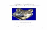 RELAZIONE FINALE · 2017. 8. 2. · 5 § 2.1. Allevamenti di lupi in cattività e Centri Recupero Fauna Selvatica: la necessità di un monitoraggio Poste queste premesse, l‟indagine