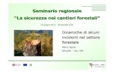 Seminario regionale “La sicurezza nei cantieri forestali”...ATTIVITA’:Abbattimento alberi per consentire la realizzazione di un impianto di risalita Le attivitàrientrano nel