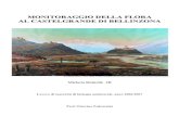 MONITORAGGIO DELLA FLORA AL CASTELGRANDE DI … Ruinelli... · 2012. 12. 14. · Monitoraggio della flora al Castelgrande di Bellinzona 1 1. INTRODUZIONE 1.1 Il Castelgrande di Bellinzona