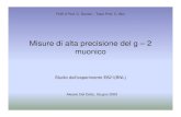 Misure di alta precisione del g – 2 muonicodionisi/docs_specialistica...FNS II Prof. C. Dionisi – Tutor Prof. C. Bini Misure di alta precisione del g – 2 muonico Studio dell’esperimento