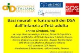 Basi neurali e funzionali dei DSA · • Funzioni esecutive • Funzioni visuo-spaziali Test di intelligenza • Secondo la normativa italiana per fare diagnosi di DSA è necessario
