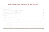 Fisiologia ed etologia del gatto - Weeblyaieccsorg.weebly.com/uploads/1/7/4/5/17458791/fisiologia... · 2019. 11. 16. · FISIOLOGIA DEL GATTO Parametri fisiologici del gatto Temperatura