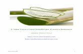L’Aloe Vera e i suoi benefici per il nostro benessere · 2019. 5. 23. · L’Aloe Vera grazie ai suoi componenti nutritivi, promuove la crescita cellulare e facilita la guarigione,