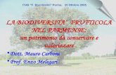 LA BIODIVERSITA’ FRUTTICOLA NEL PARMENSE: un patrimonio da conservare e valorizzare · 2017. 5. 19. · Bocchialini” di Parma di oltre 700 varietà di frutti antichi. Susine 11