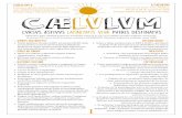 CAELVLVM II II CAELVLVM - culturaclasica.com...CAELVLVM II Cursus a die 22 ad 28 mensis Augusti ann. MMXIX Matriti habendus (Colegio Mayor Marqués de la Ensenada) II CAELVLVM Curso