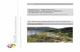 Cartografia e identificazione priorità d’intervento · 2015. 2. 26. · OIKOS 2000 – CONSULENZA E INGEGNERIA AMBIENTALE SAGL CH-6513 MONTE CARASSO Ailanto - Monte di Caslano