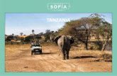 TANZANIA · 2020. 5. 8. · Serengeti significa en lengua masai “praderasin fin”y cuanta con más de 14.000 Km2 de extensión. Es el más antiguo y popular parque nacional de