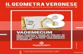 VADEMECUM - Il Collegio dei Geometri di Verona · del geometra. In questi ultimi anni, so-prattutto a partire dalla riforma degli or-dinamenti professionali di cui al D.P.R. 7 agosto