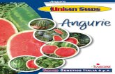 Angurie - UnigenSeedsItaly ENhub.unigenseedsitaly.com/it/wp-content/uploads/... · MAGIA NEGRA F1 6 MAGIA NEGRA ROMERIA CALIMERO VARIETA’ CARATTERISTICHE VARIETALI - TIPO SUGAR