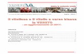 Vitelli e vitelloni 2004-2011 - Veneto Agricoltura · 2018. 1. 10. · Allevamenti di vitelloni suddivisi per classi di consistenza - anno 2011 PROV Da 1 a 9 Da 10 a 49 Da 50 a 99