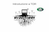 Introduzione a TOR - noblogs.org · 2013. 6. 30. · Under_r00t - 3/52 Anonimato in rete Delle persone che visitano un sito web è possibile conoscere molti dettagli: 1.da dove provengono