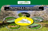 TRAPPOLE A FEROMONI - Green Ravenna · 2018. 6. 22. · feromoni 12 22% Confezione: Busta con foro appendibile CARPOCAPSA MELO, PERO, NOCE (Cydia pomonella) Codice Descrizione Contenuto