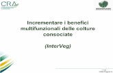 Incrementare i benefici multifunzionali delle colture consociateorgprints.org/22558/1/20120320_Italian Presentation of... · 2013. 4. 16. · Sassari, 20 Marzo 2012. Introduzione
