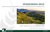 VENDEMMIA 2019 - Veneto Agricoltura · 2020. 1. 9. · Vendemmia 2019 Andamento superficie vitata e variazione percentuale rispetto alla Campagna precedente NOTA: 2018/2019 aggiornato